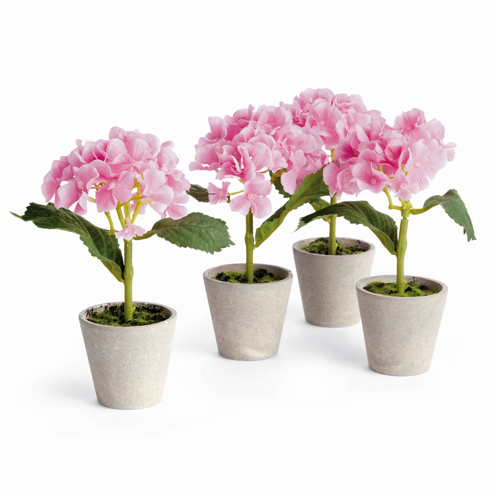 MINI HYDRANGEA POTTED 8", SET OF 4 - Pink