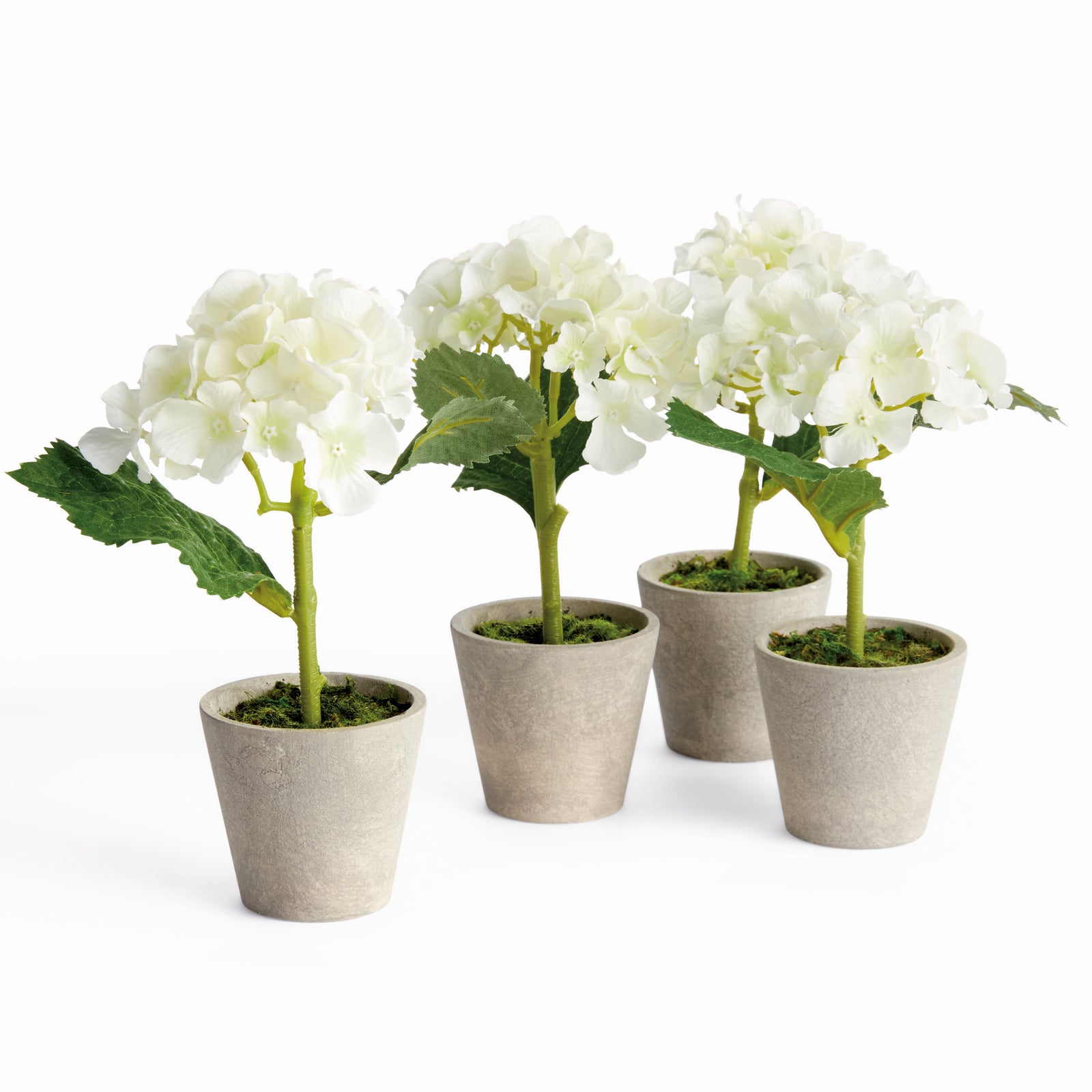 MINI HYDRANGEA POTTED 8", SET OF 4 - White