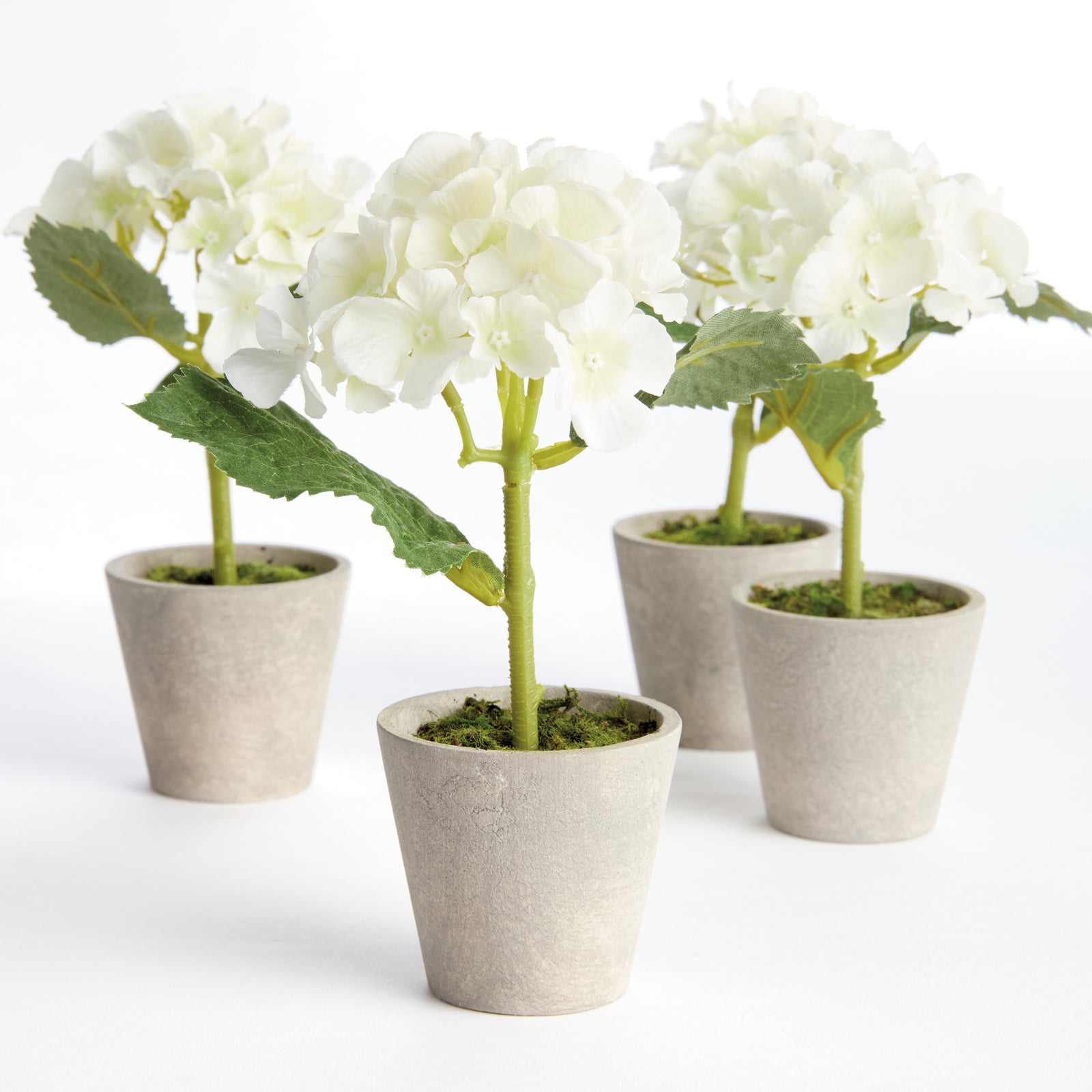 MINI HYDRANGEA POTTED 8", SET OF 4 - White
