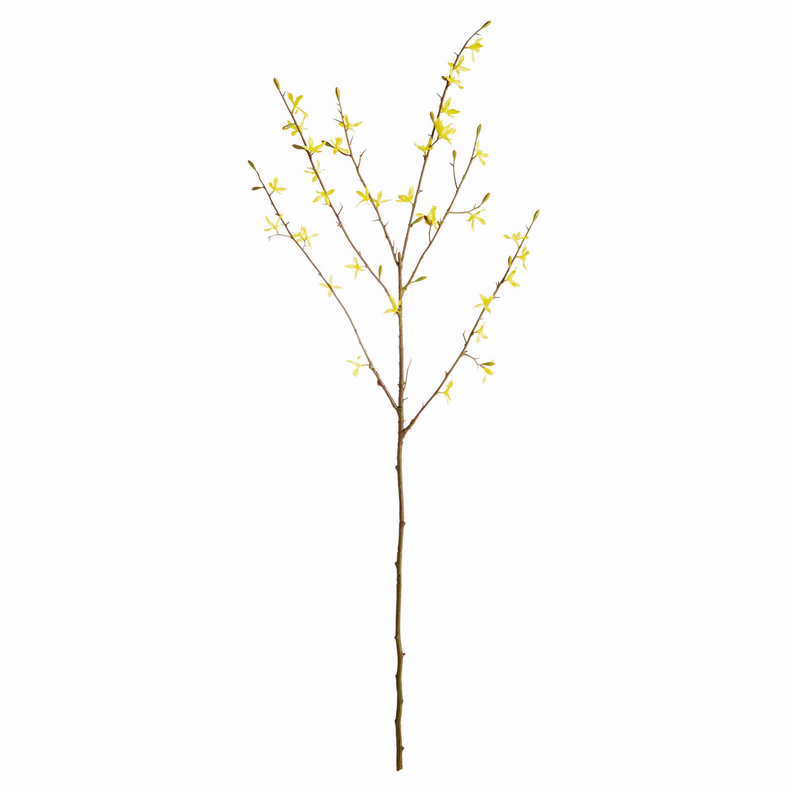 FORSYTHIA STEMS 47", SET OF 6