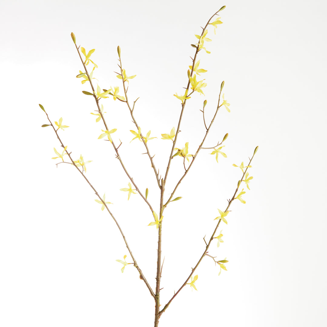 FORSYTHIA STEMS 47", SET OF 6