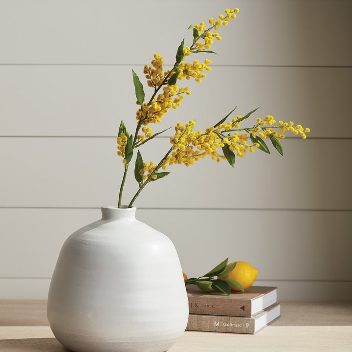 MIMOSA STEMS 27.5", SET OF 6