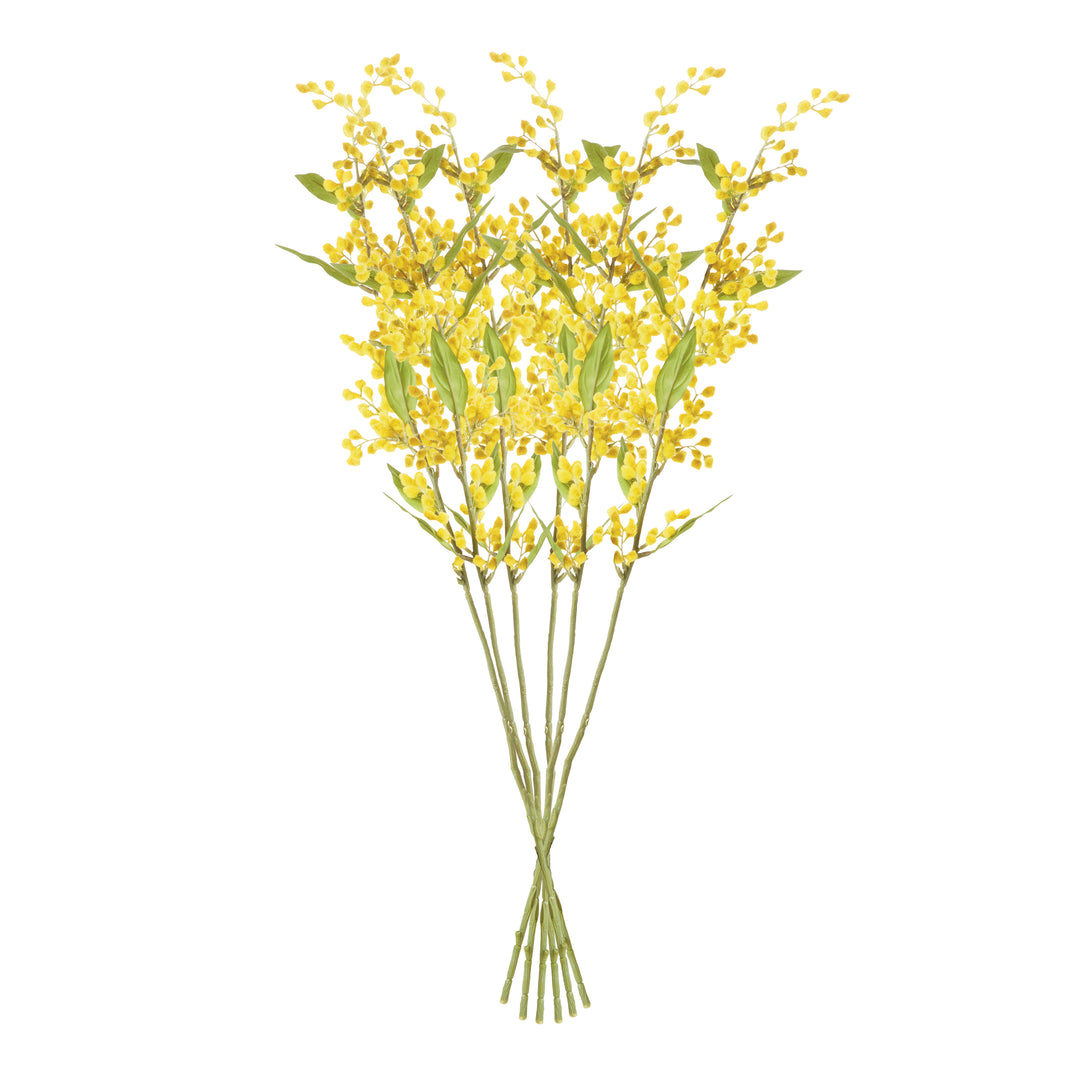 MIMOSA STEMS 27.5", SET OF 6