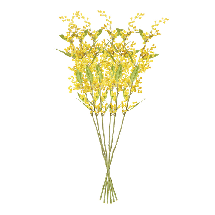 MIMOSA STEMS 27.5", SET OF 6