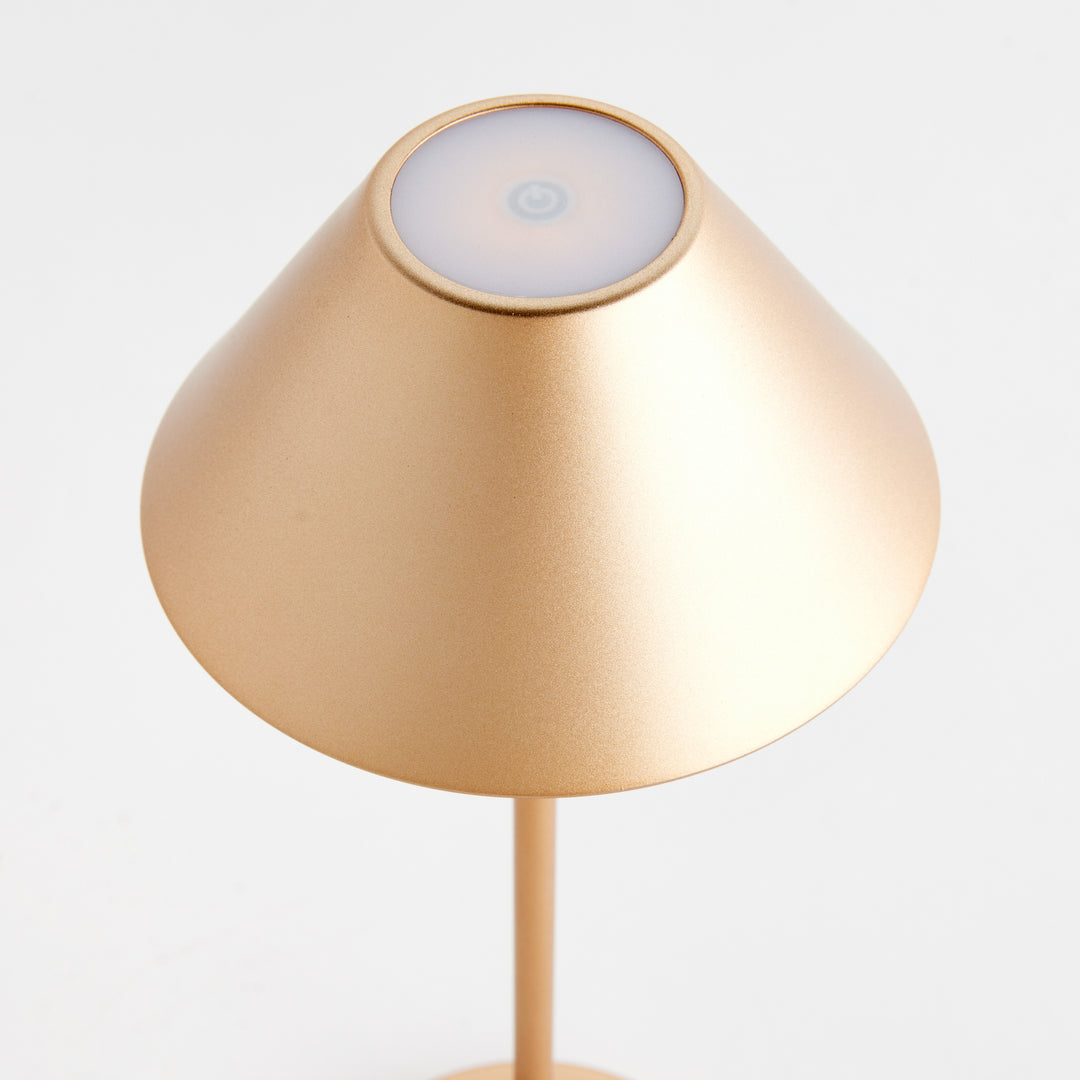 ALLUNA CORDLESS LED LAMP 14" - Champagne Gold