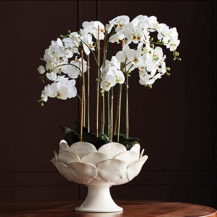 DI ROSA GRANDE FOOTED DECORATIVE BOWL