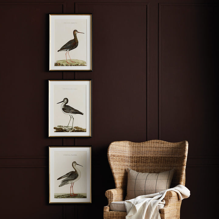 WANDERING BIRDS STUDY, SET OF 3