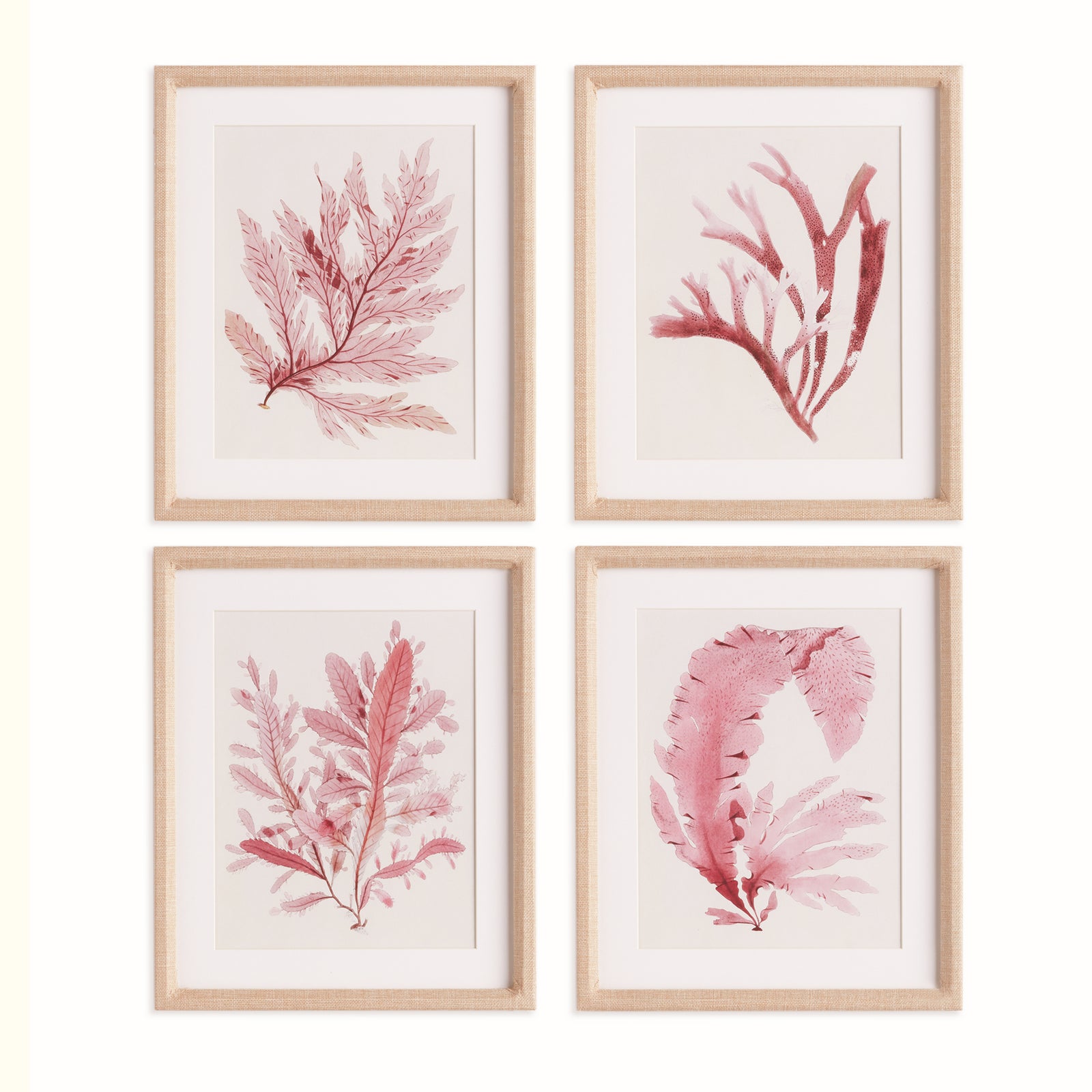 WATERCOLOR SEAWEED PRINTS, SET OF 4