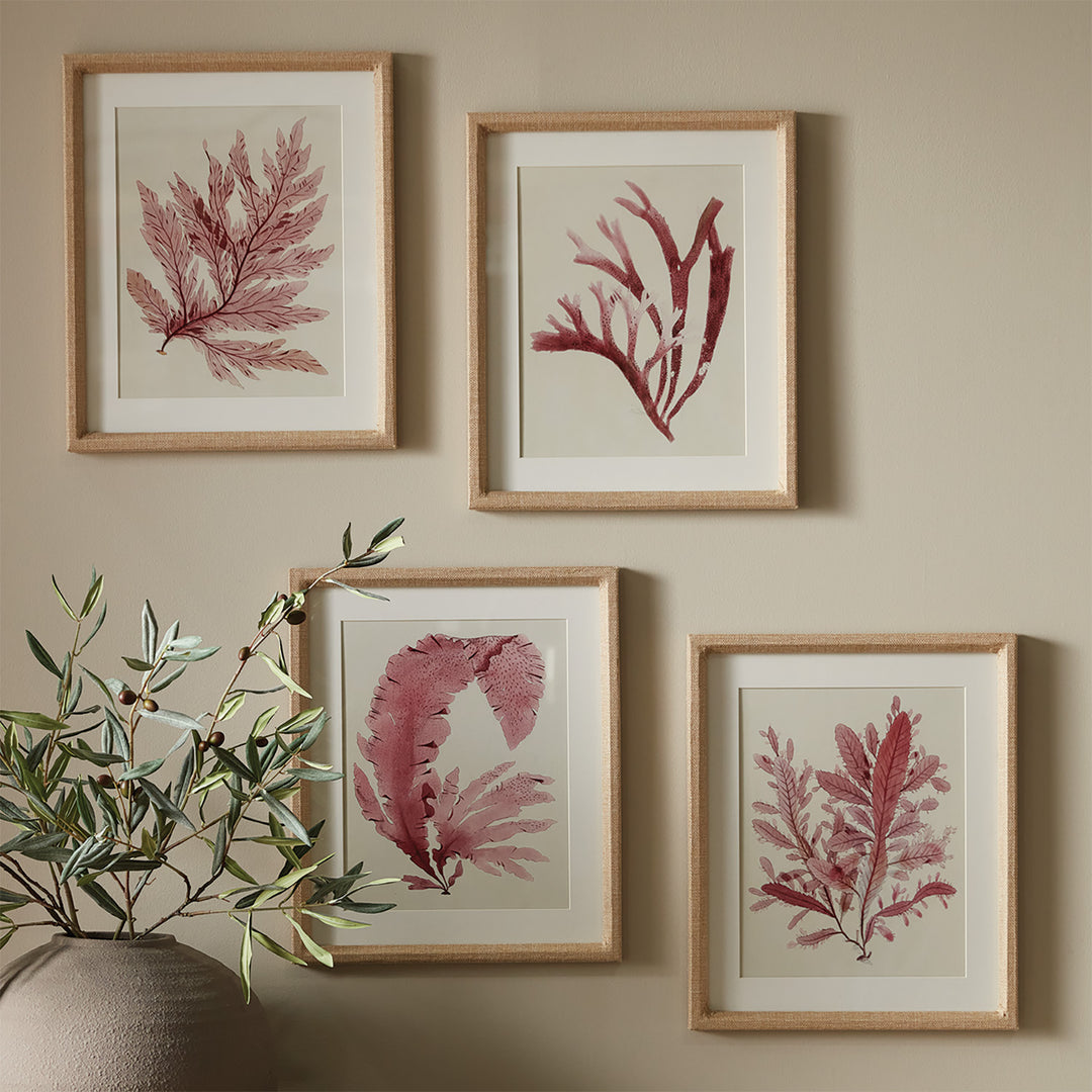 WATERCOLOR SEAWEED PRINTS, SET OF 4