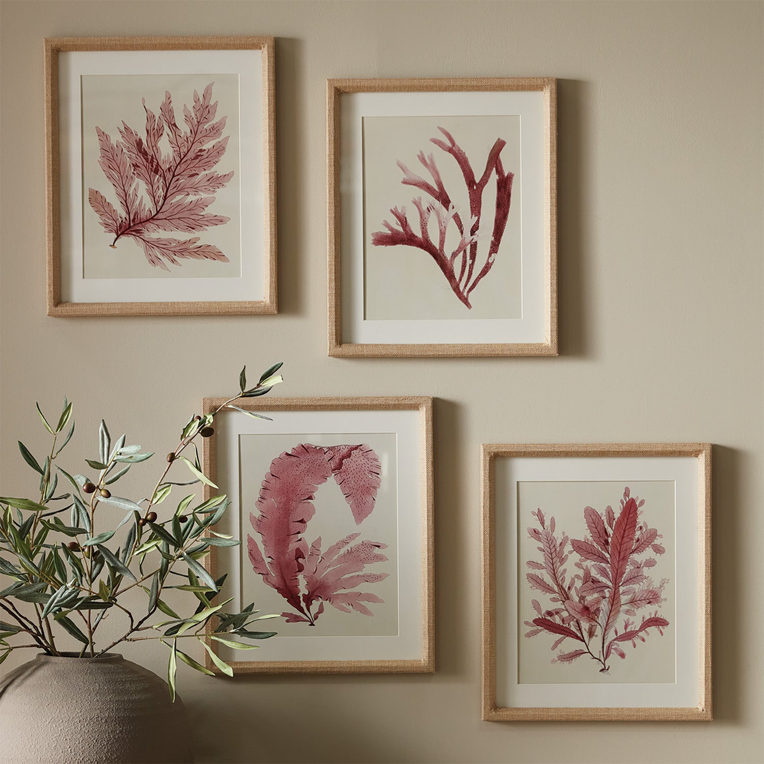 WATERCOLOR SEAWEED PRINTS, SET OF 4