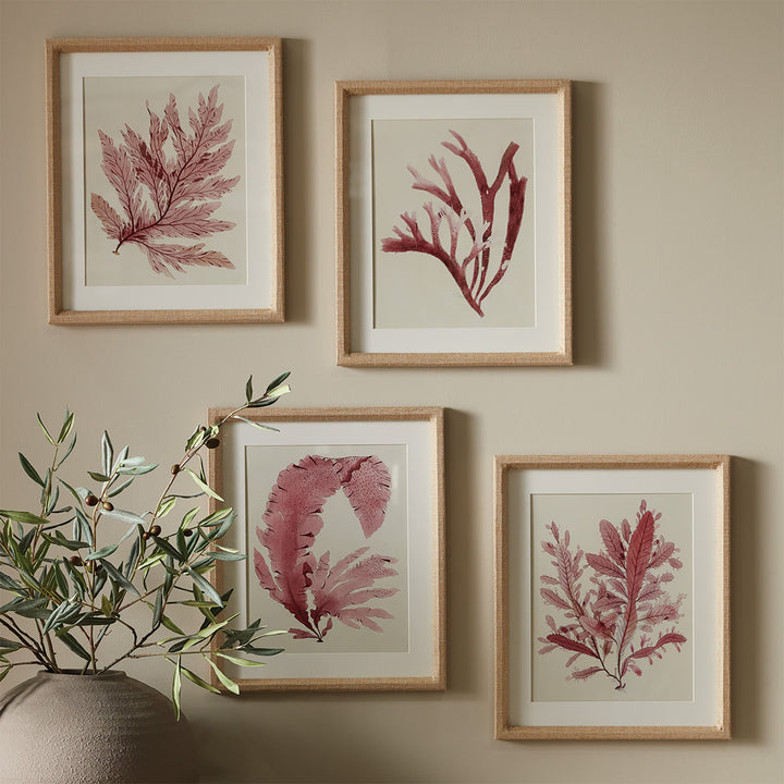 WATERCOLOR SEAWEED PRINTS, SET OF 4