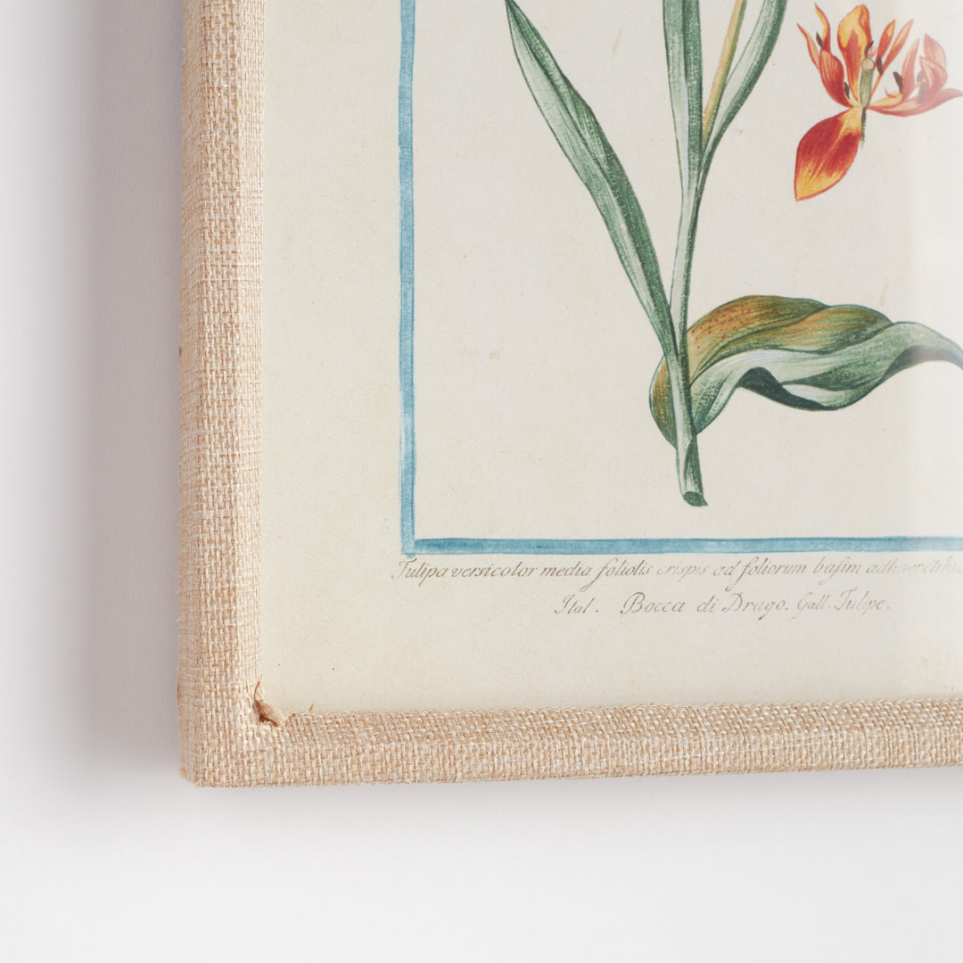 DAINTY FLORA & FAUNA STUDY, SET OF 9
