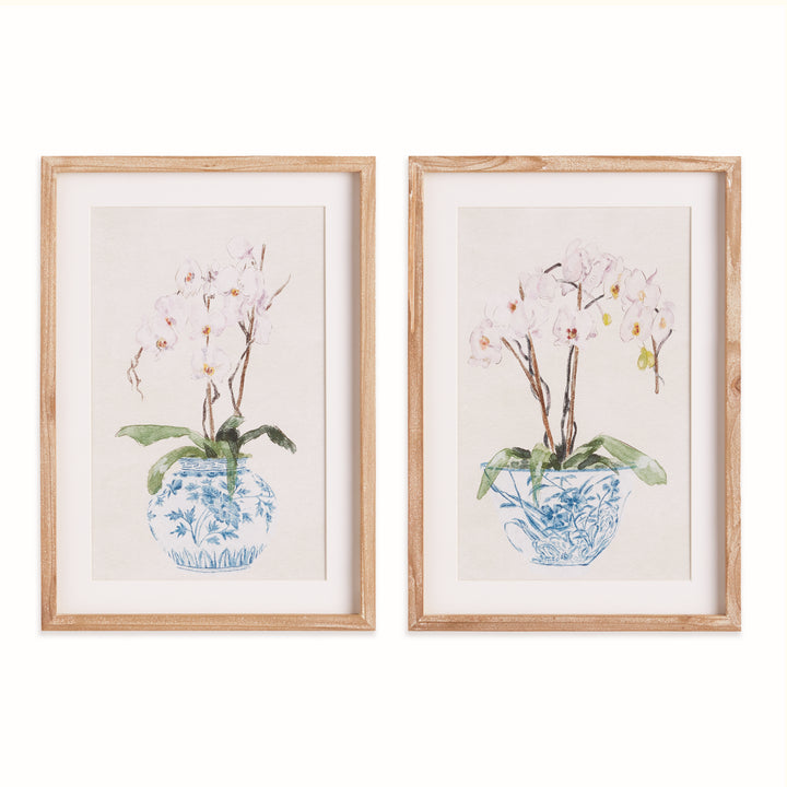 POTTED PHALAENOPSIS PRINTS, SET OF 2