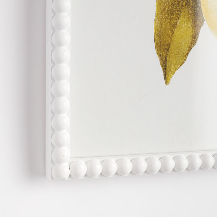 LEMON CUTTINGS STUDY, SET OF 3