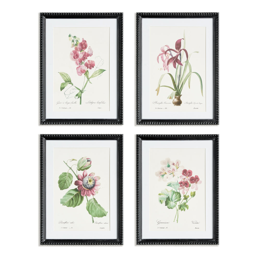 BLUSH BLOOMS STUDY ST/4