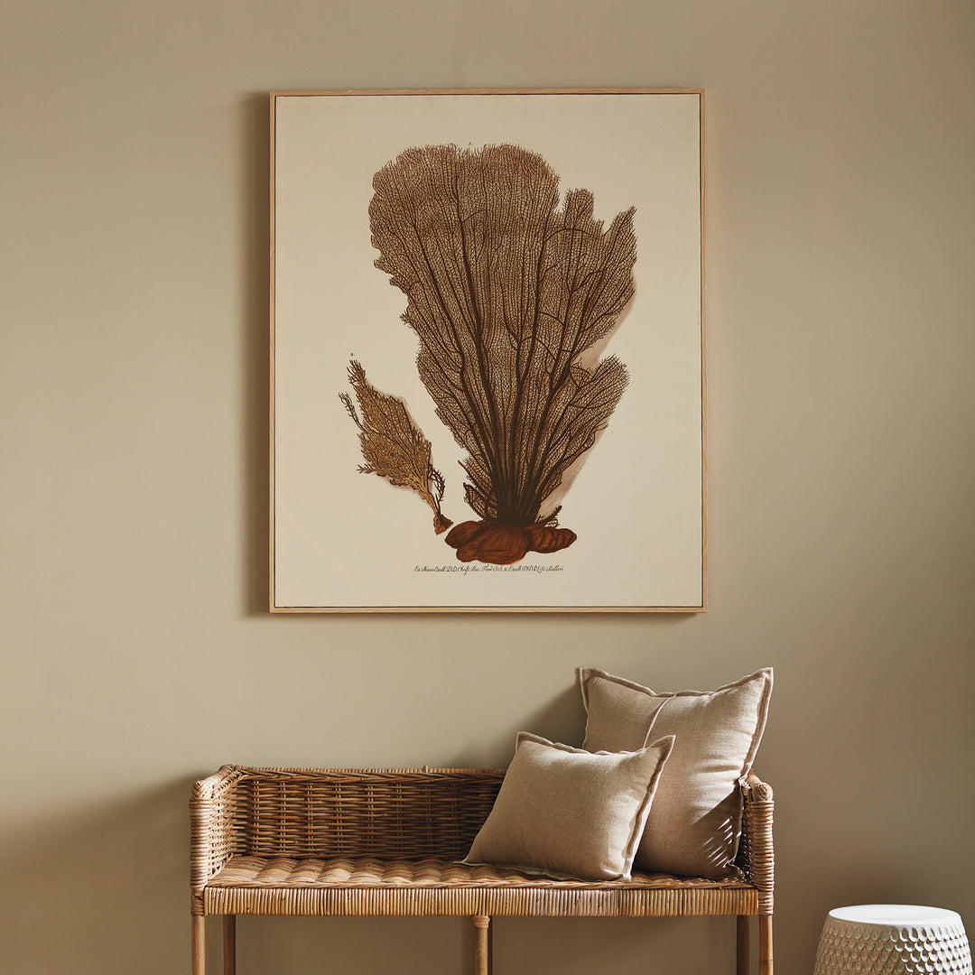 CORAL FAN GICLEE