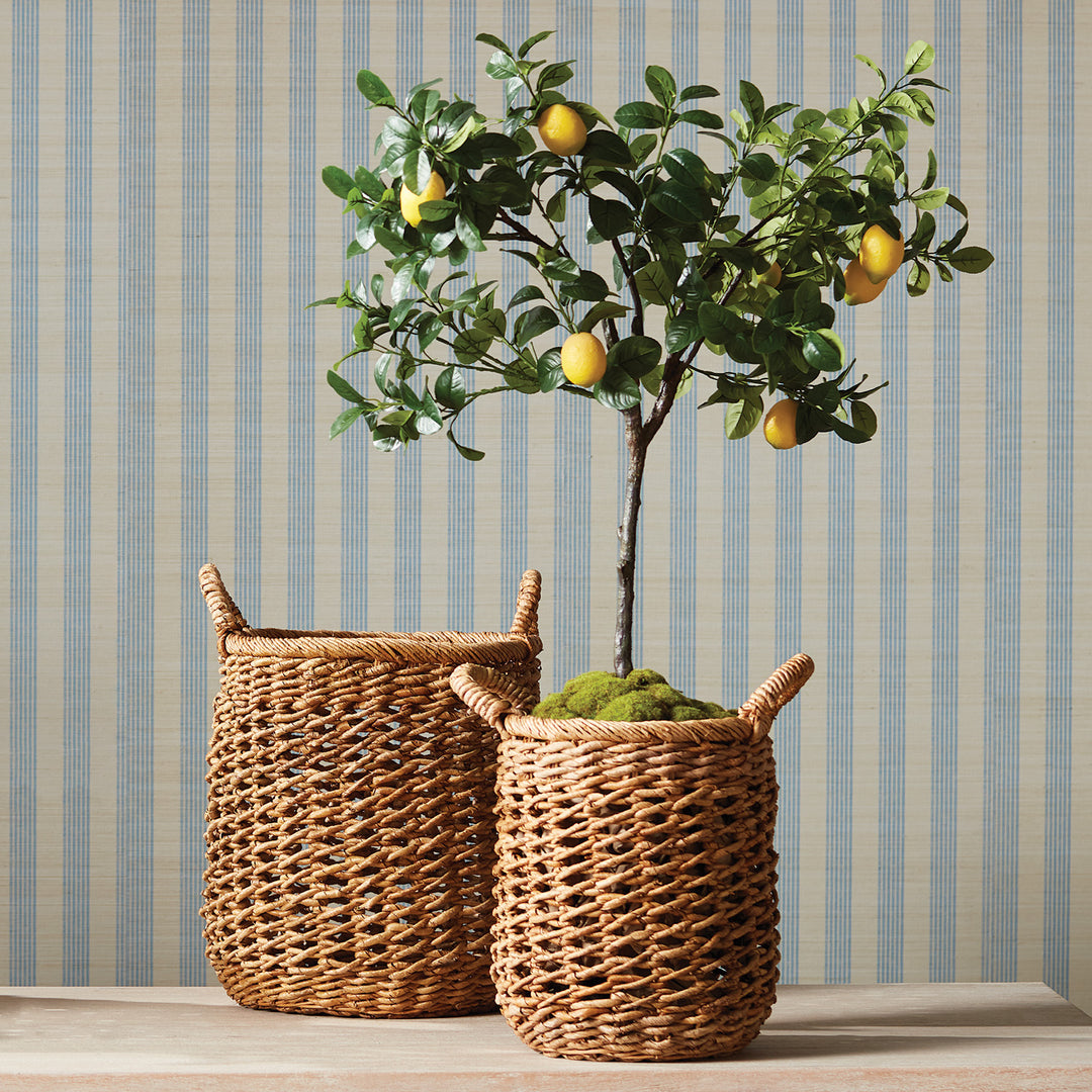CAM BANANA LEAF BASKETS W/ HANDLES, SET OF 2