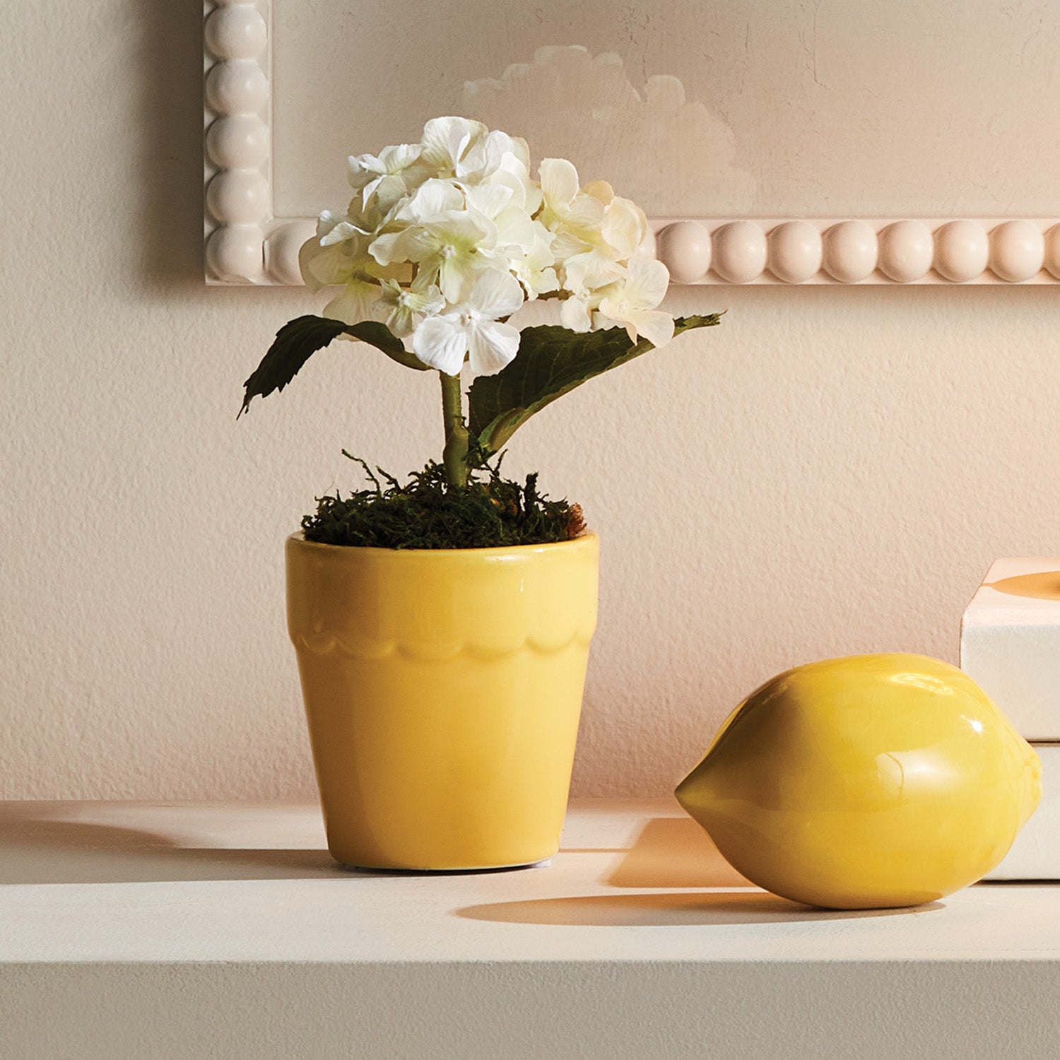 MIRABELLE MINI CACHEPOTS, SET OF 6 - Yellow