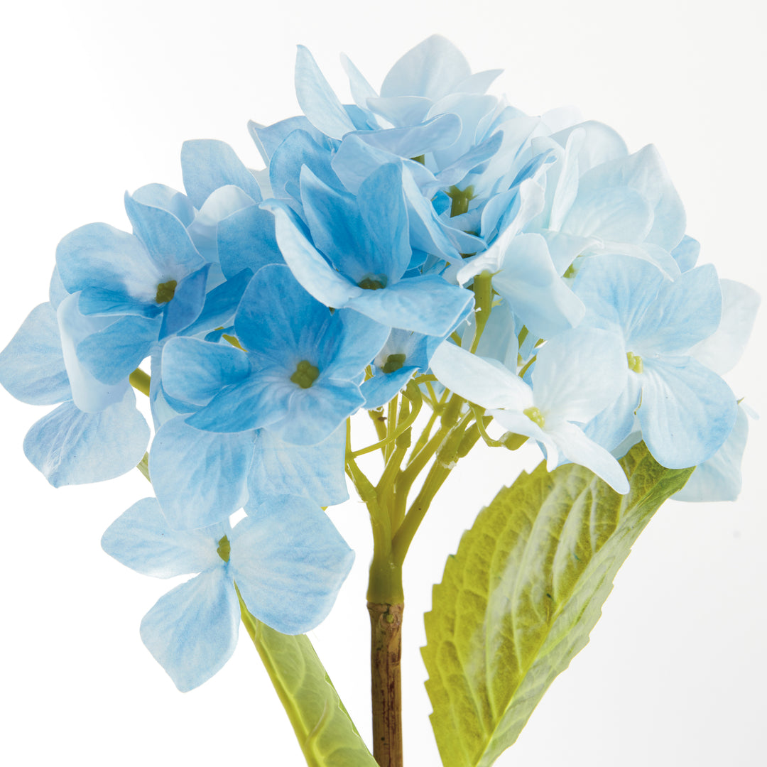 HYDRANGEA STEMS 18", SET OF 6 - Light Blue