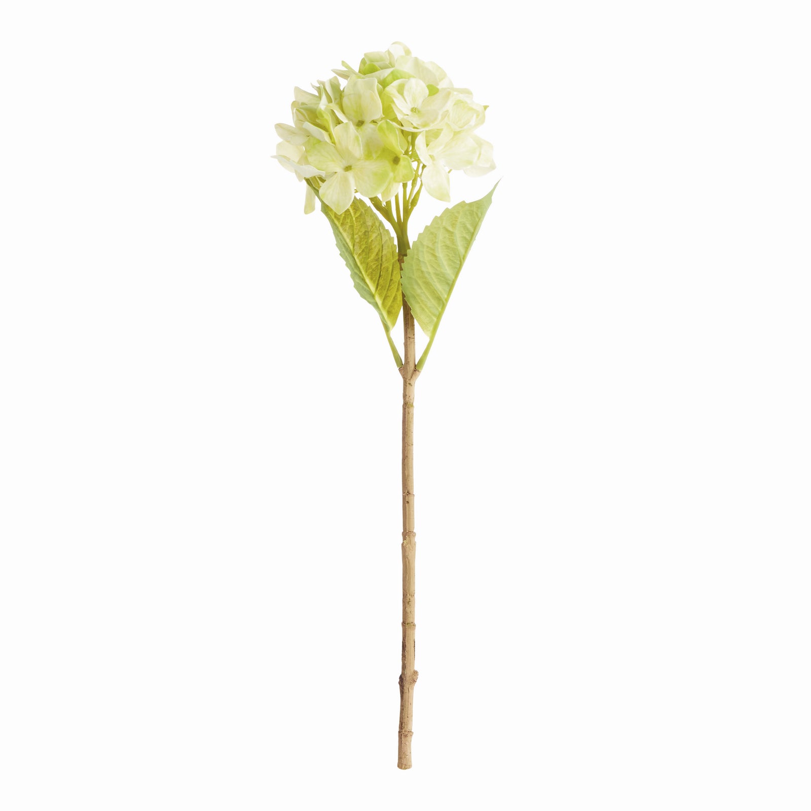 HYDRANGEA STEMS 18", SET OF 6 - Green
