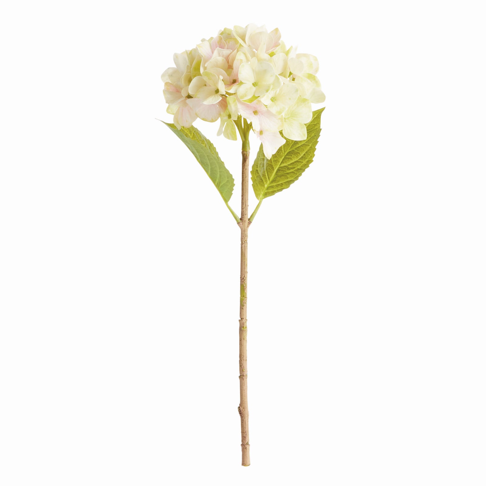 HYDRANGEA STEMS 18", SET OF 6 - Light Green