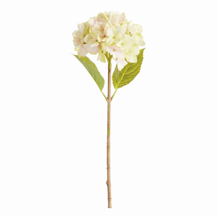 HYDRANGEA STEMS 18", SET OF 6 - Light Green
