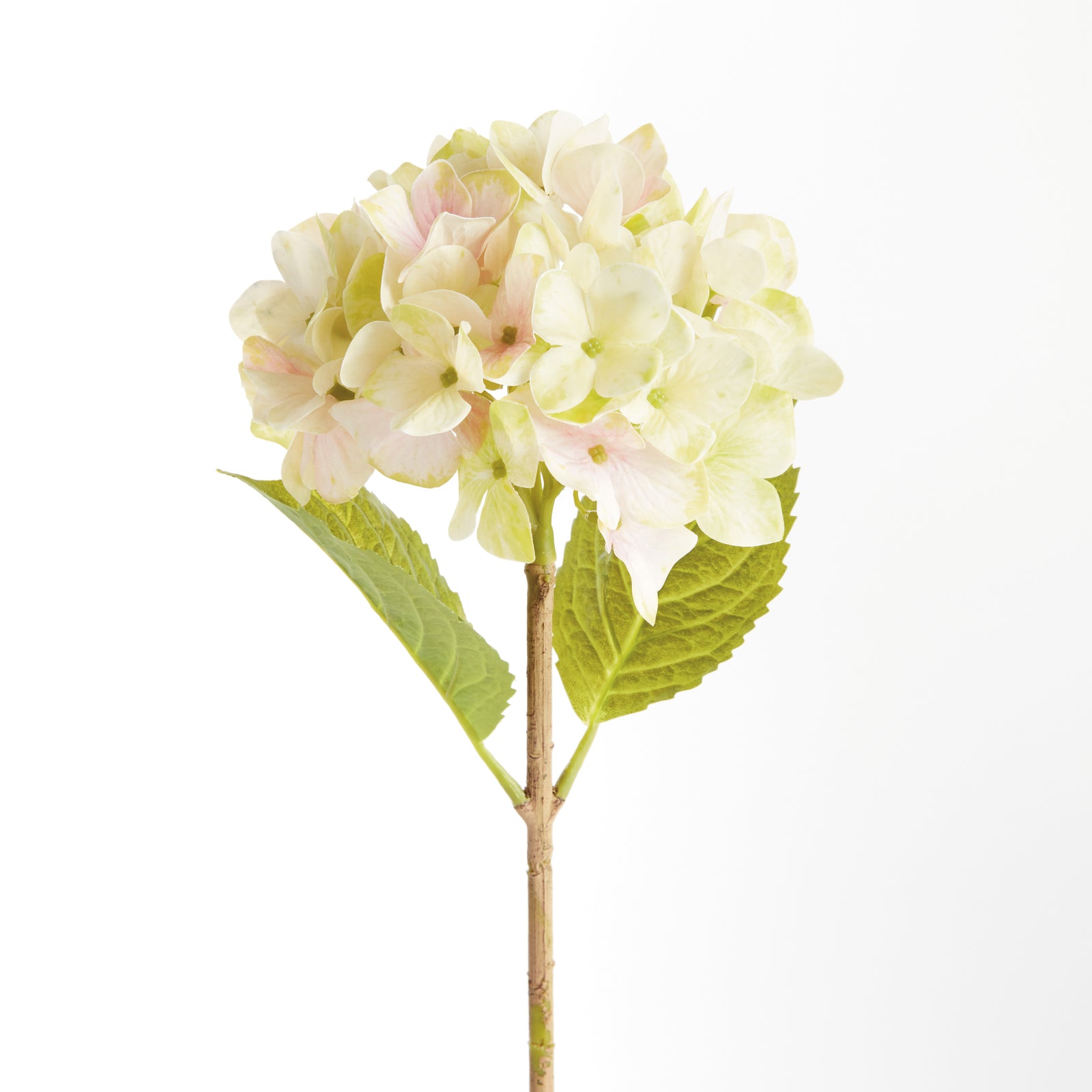 HYDRANGEA STEMS 18", SET OF 6 - Light Green
