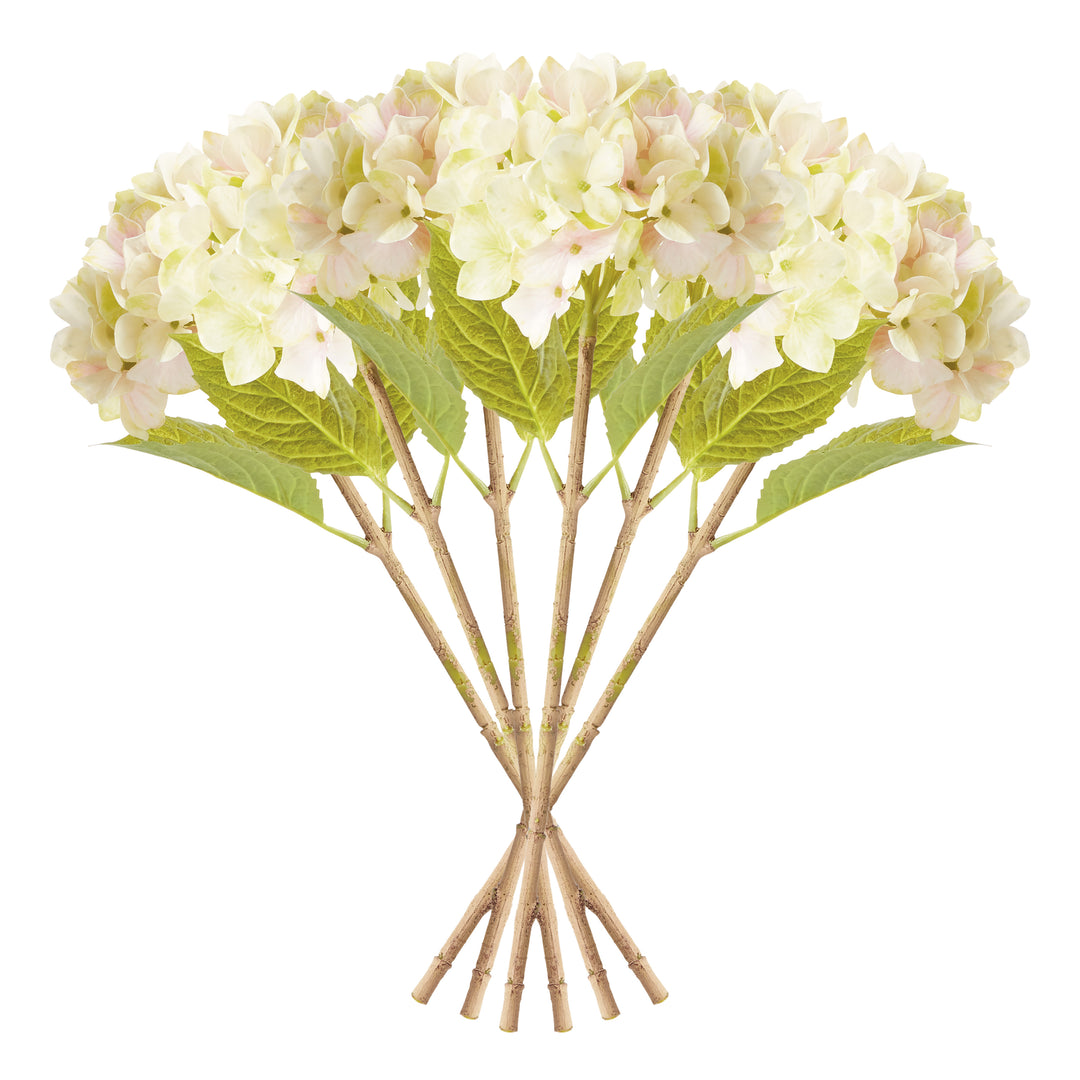 HYDRANGEA STEMS 18", SET OF 6 - Light Green