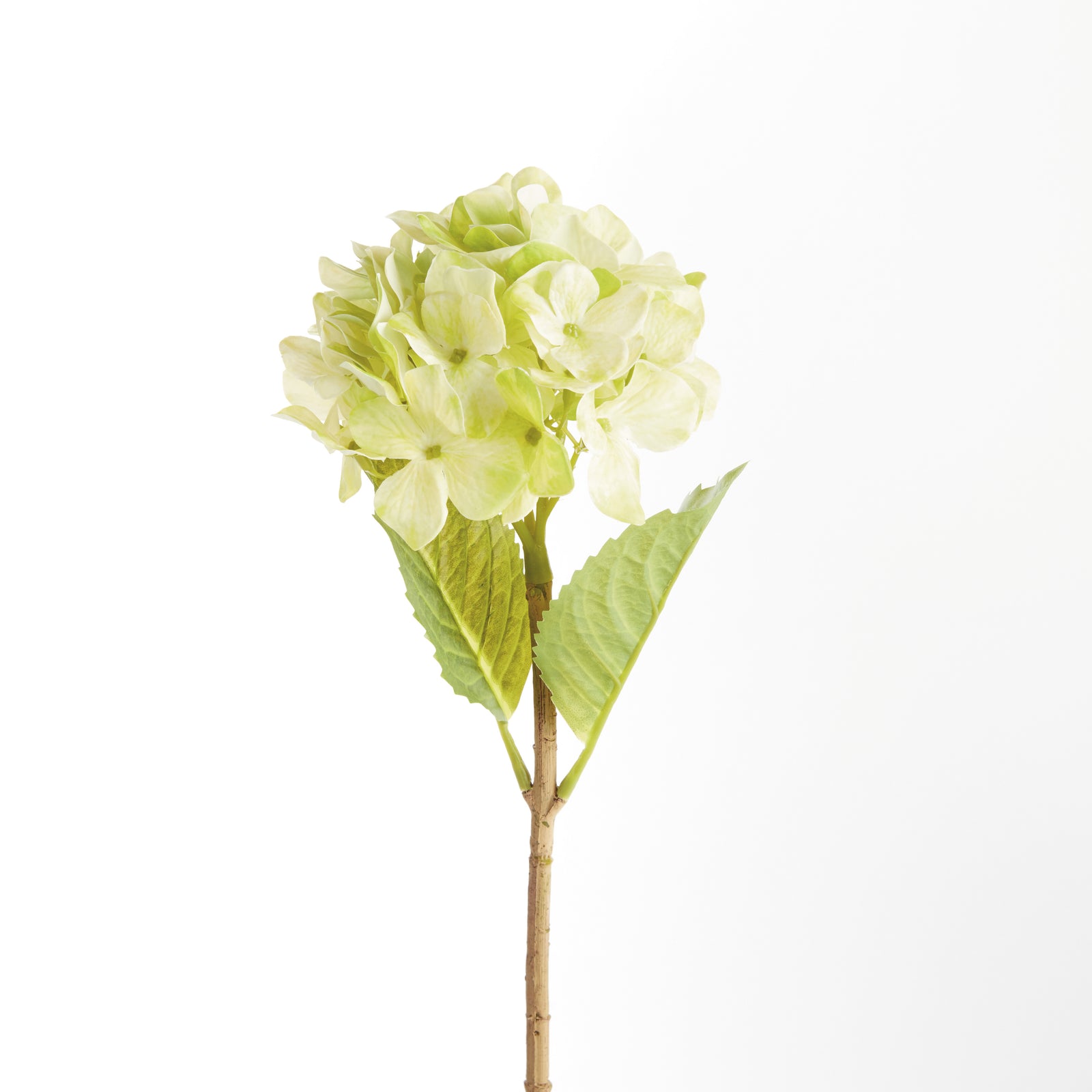 HYDRANGEA STEMS 18", SET OF 6 - Green