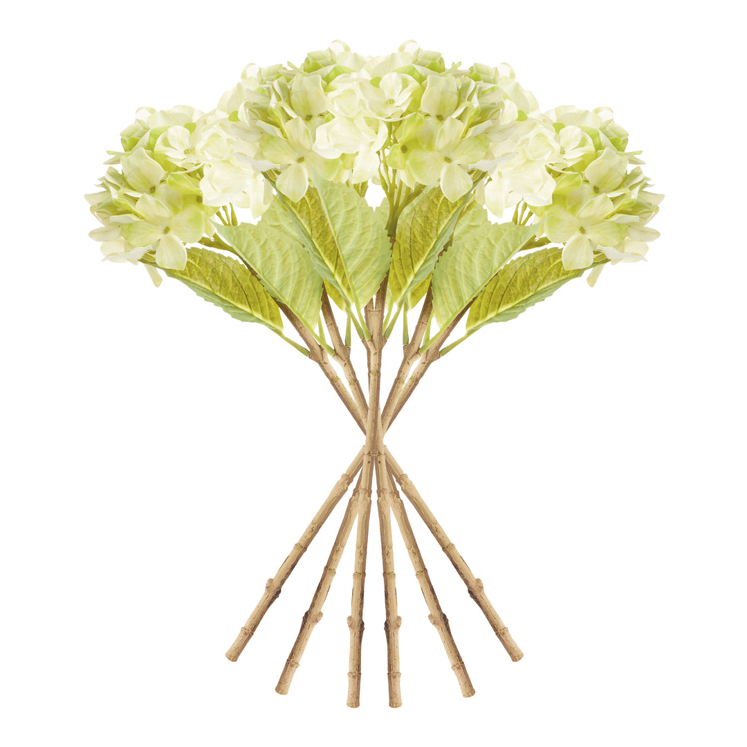 HYDRANGEA STEMS 18", SET OF 6 - Green