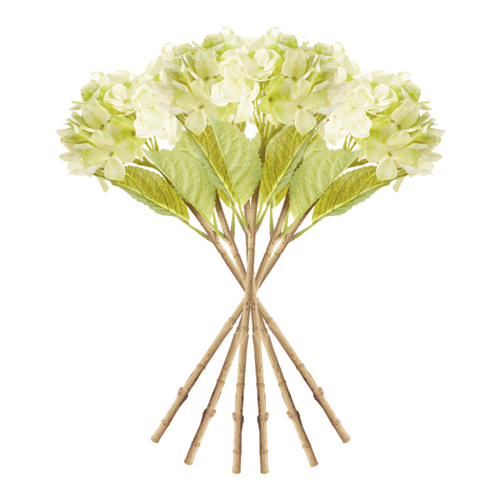 HYDRANGEA STEMS 18", SET OF 6 - Green