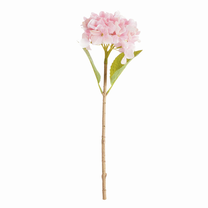 HYDRANGEA STEMS 18", SET OF 6 - Pink