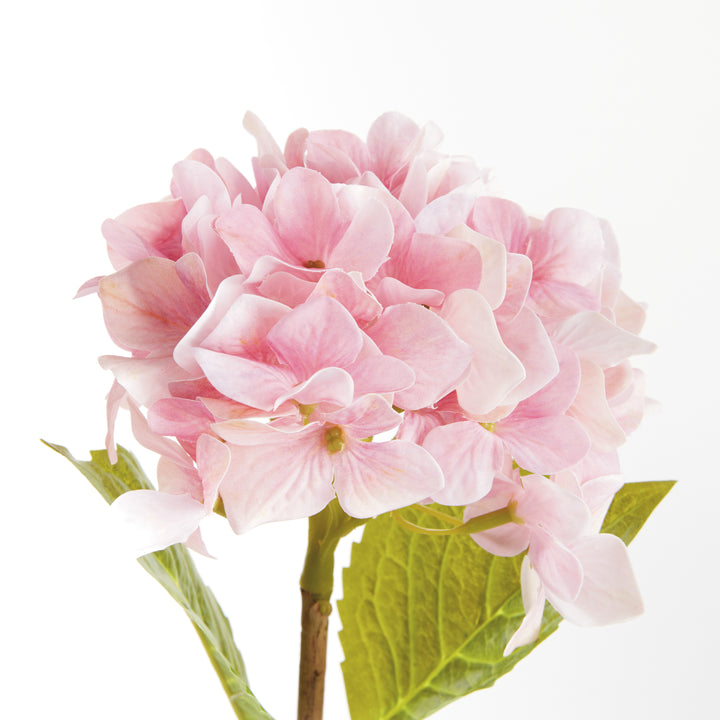 HYDRANGEA STEMS 18", SET OF 6 - Pink