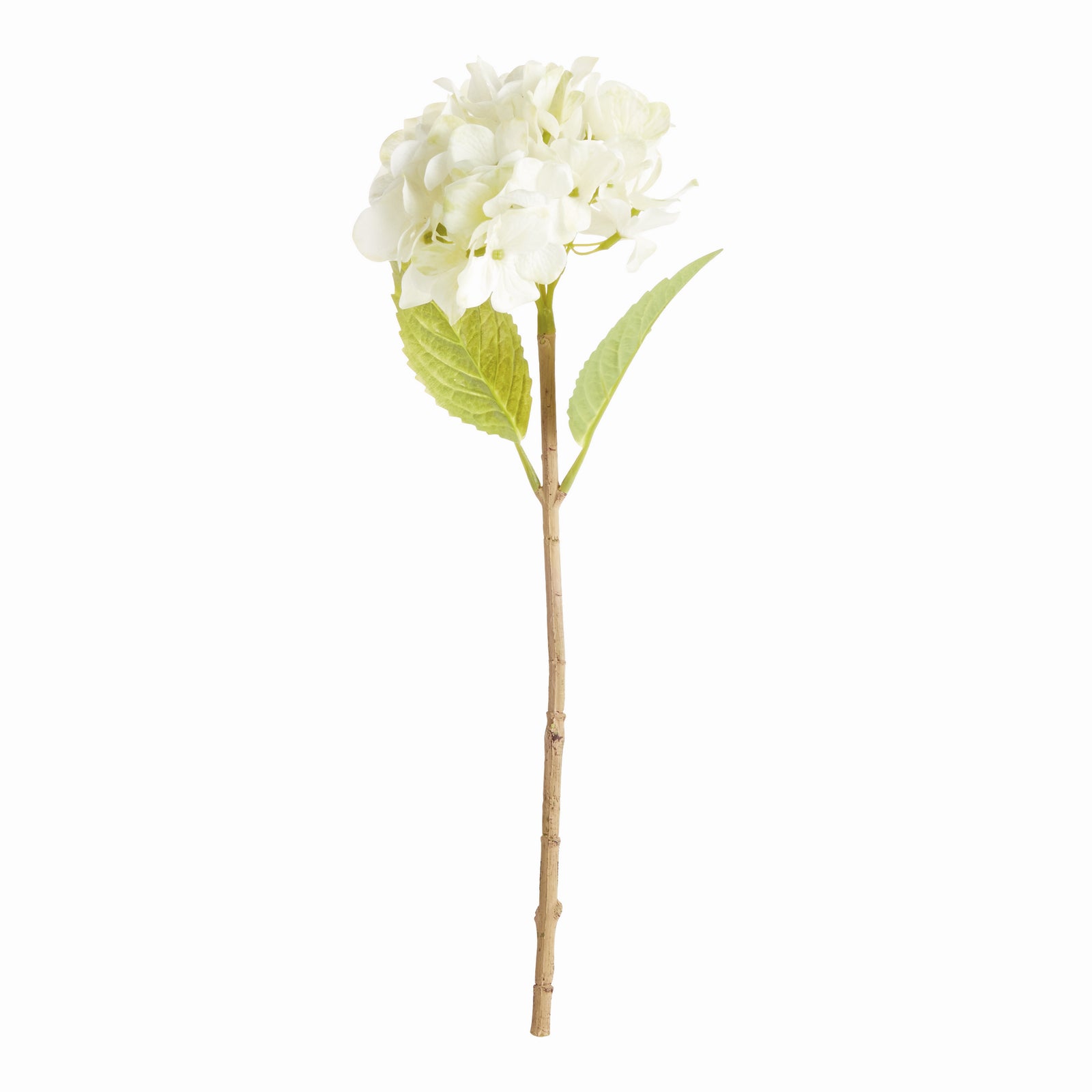 HYDRANGEA STEMS 18", SET OF 6 - White