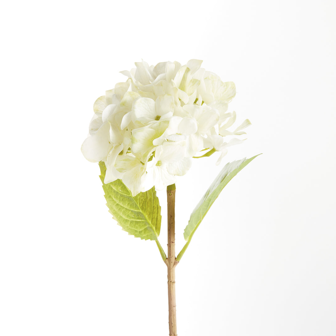 HYDRANGEA STEMS 18", SET OF 6 - White