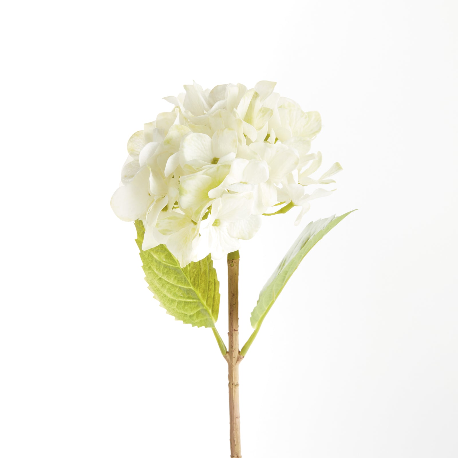 HYDRANGEA STEMS 18", SET OF 6 - White