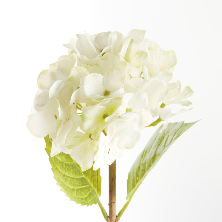 HYDRANGEA STEMS 18", SET OF 6 - White