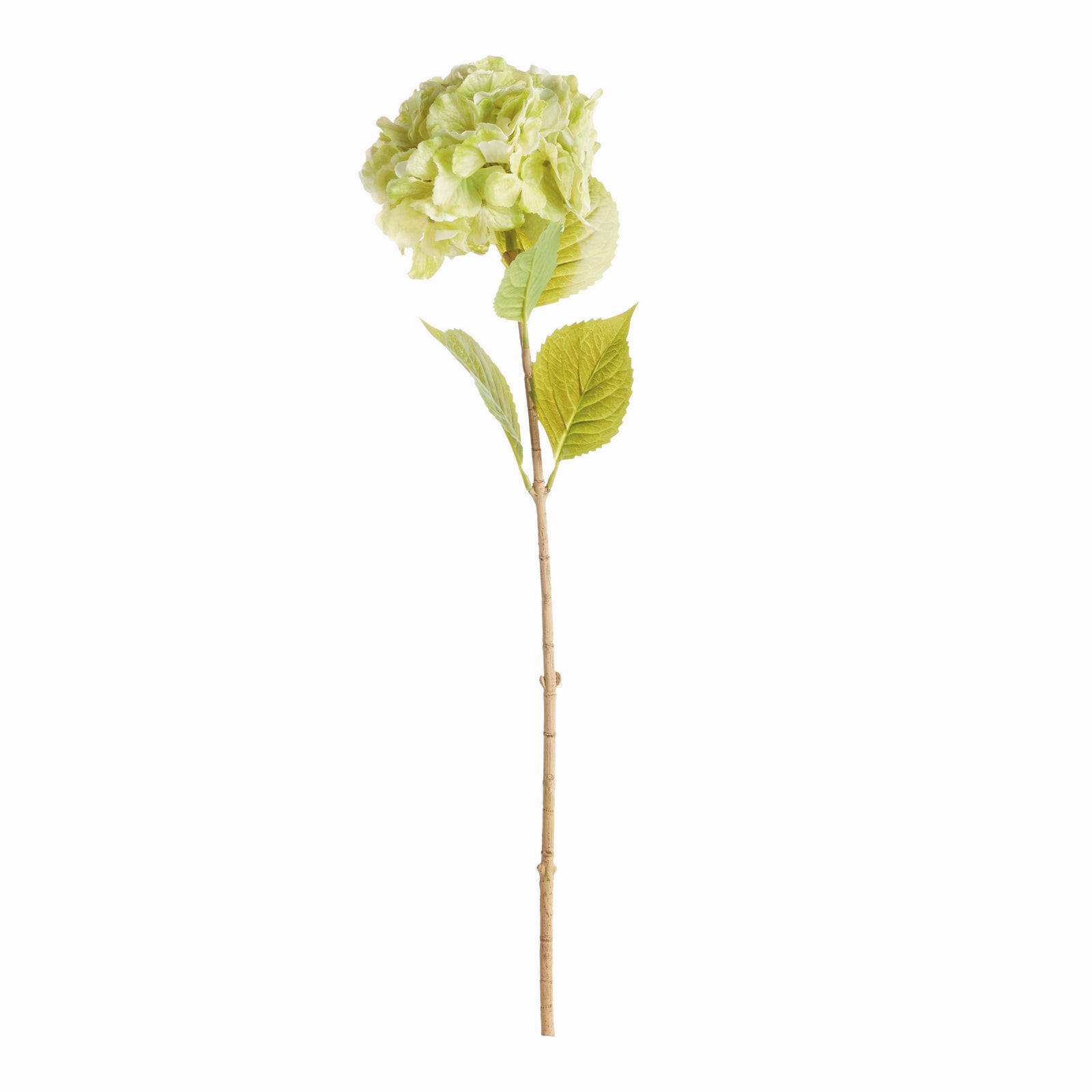 MOPHEAD HYDRANGEA STEMS 30.5", SET OF 4 - Green