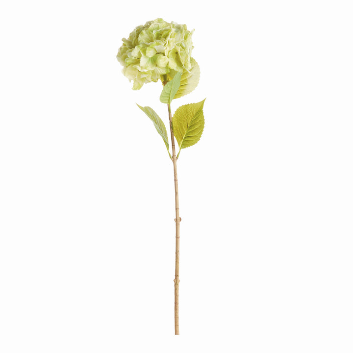 MOPHEAD HYDRANGEA STEMS 30.5", SET OF 4 - Green