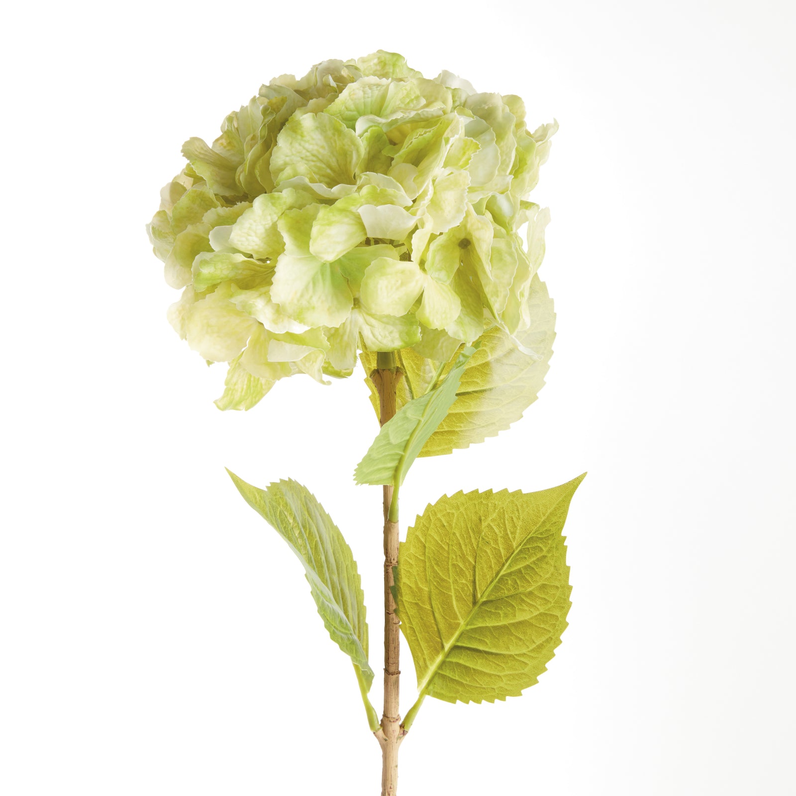 MOPHEAD HYDRANGEA STEMS 30.5", SET OF 4 - Green