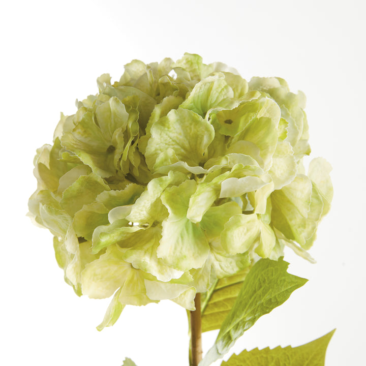 MOPHEAD HYDRANGEA STEMS 30.5", SET OF 4 - Green