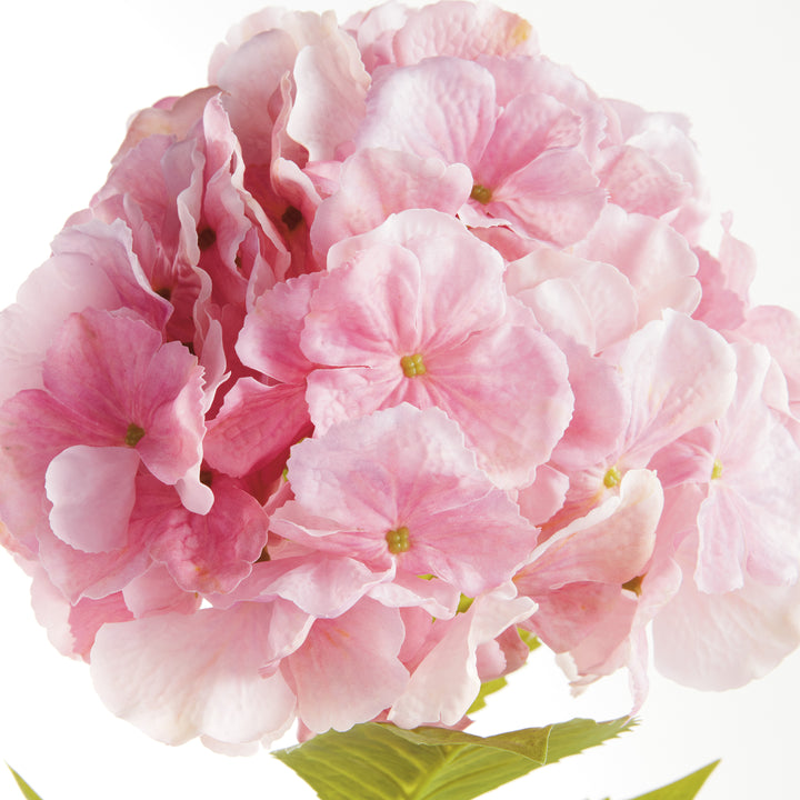 MOPHEAD HYDRANGEA STEMS 30.5", SET OF 4 - Pink