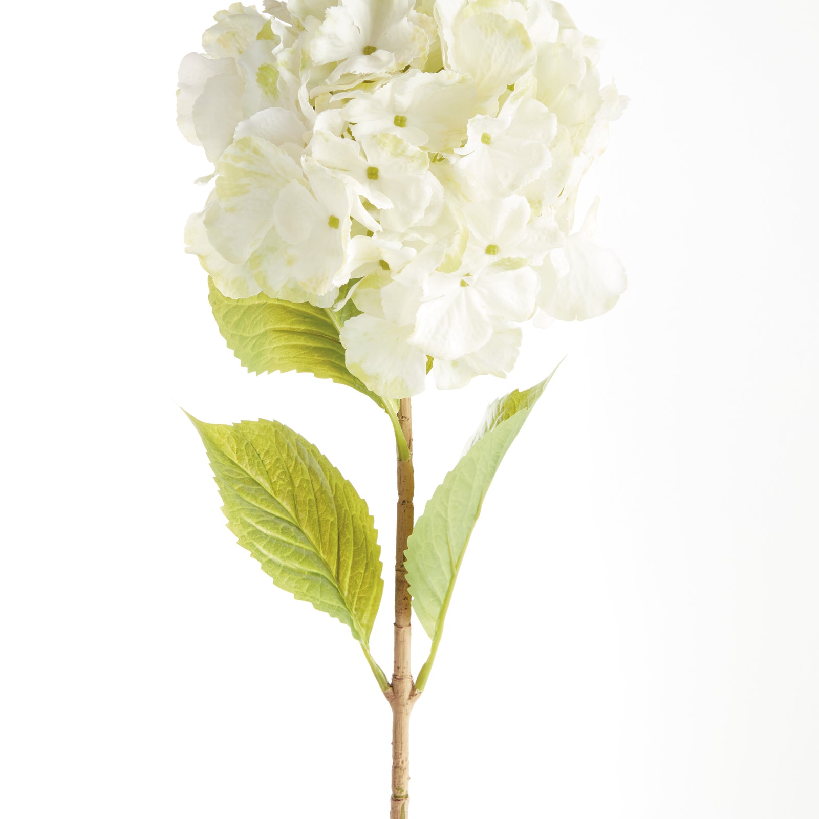 MOPHEAD HYDRANGEA STEMS 30.5", SET OF 4 - White