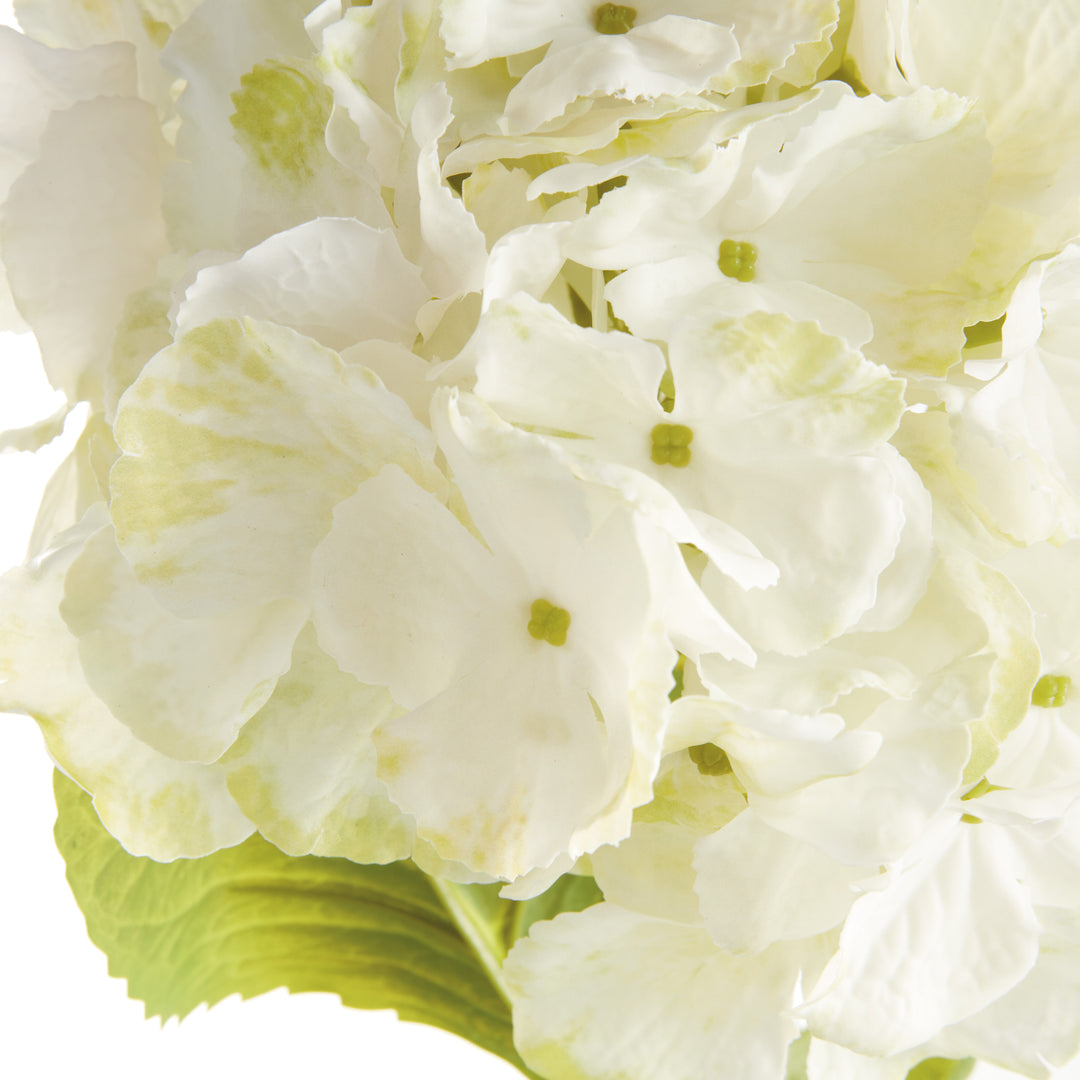 MOPHEAD HYDRANGEA STEMS 30.5", SET OF 4 - White