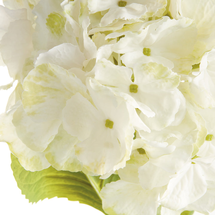 MOPHEAD HYDRANGEA STEMS 30.5", SET OF 4 - White
