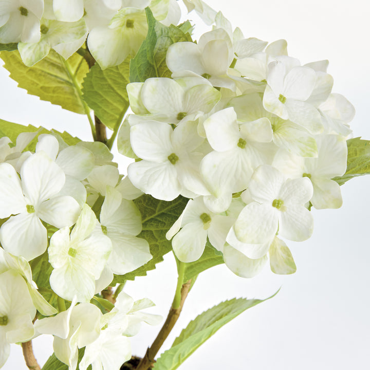 HYDRANGEA DROP-IN 18" - White