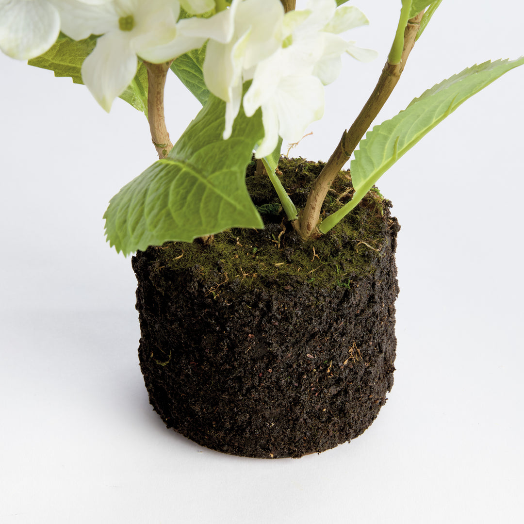 HYDRANGEA DROP-IN 18" - White