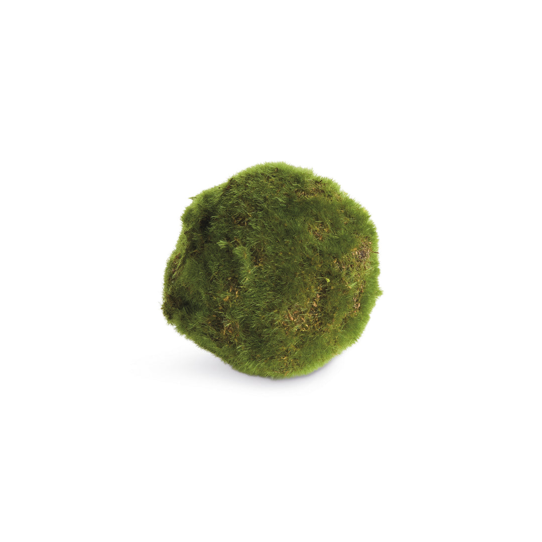 MOSS ORBS 4" ST/6 - Moss