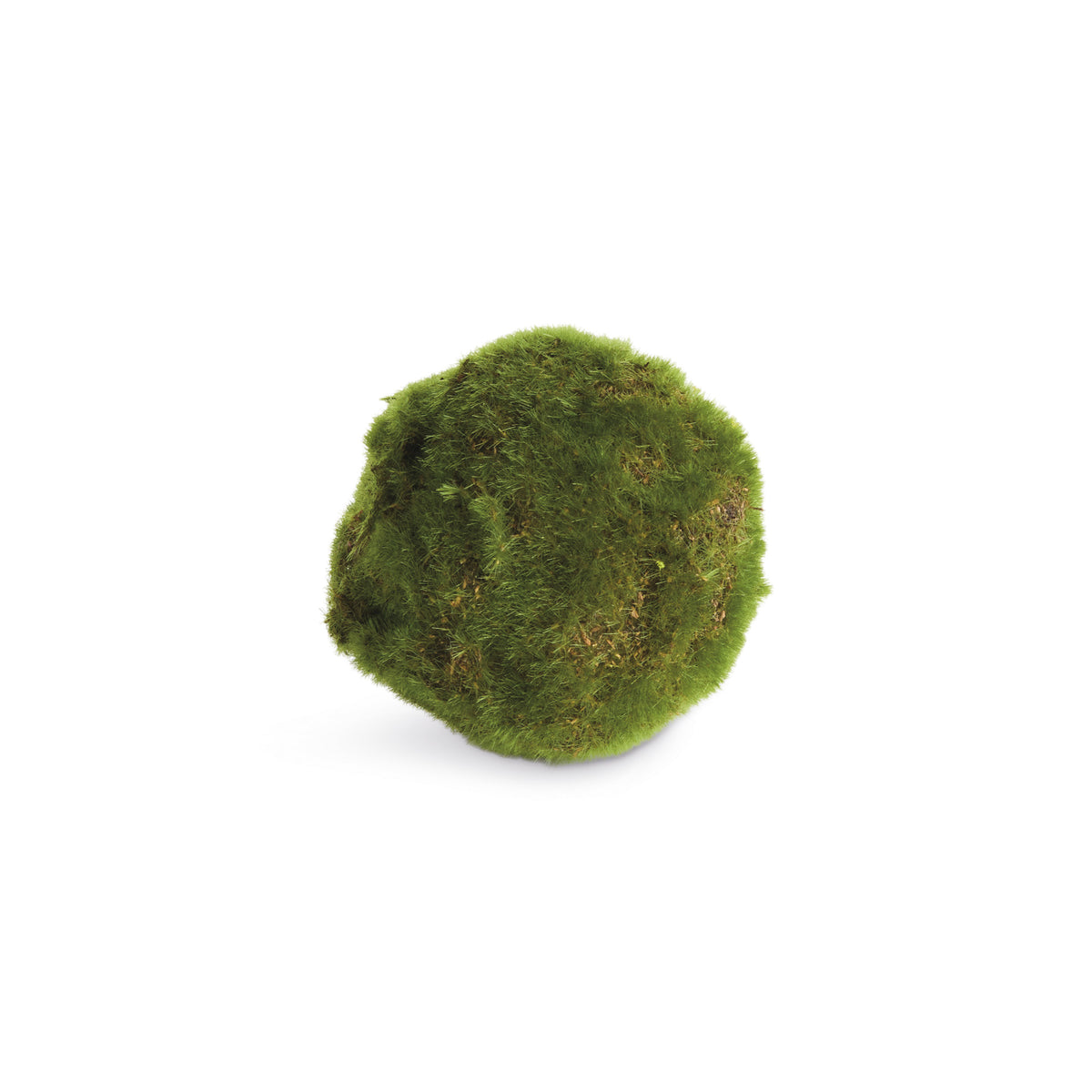 MOSS ORBS 4" ST/6 - Moss