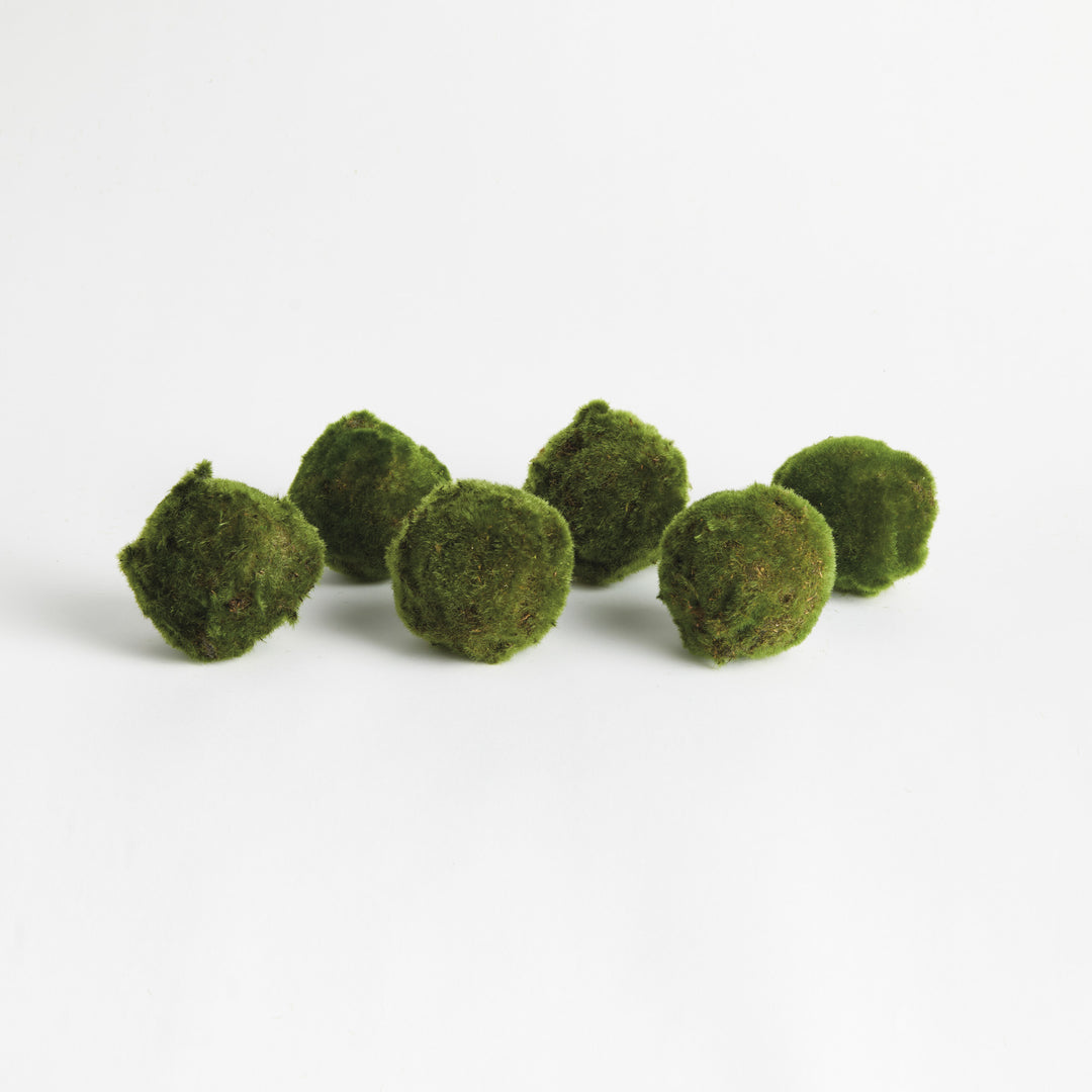 MOSS ORBS 4" ST/6 - Moss